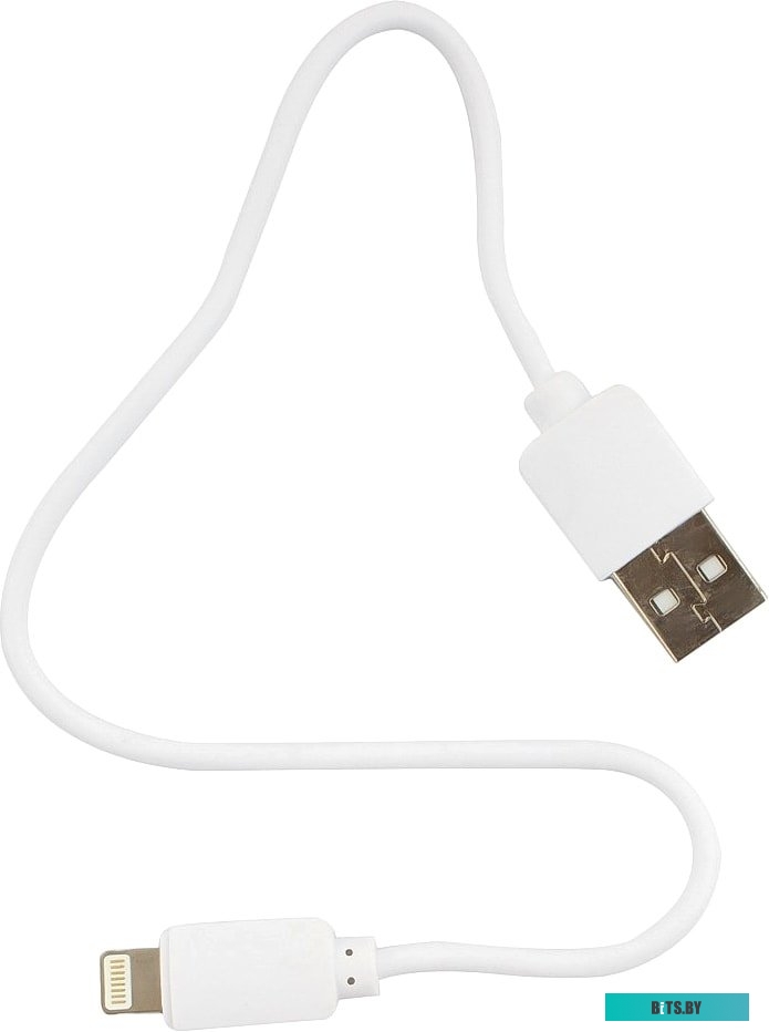Кабель Гарнизон GCC-USB2-AP2-0.3M-W