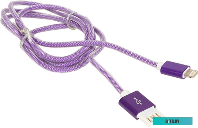 Кабель Cablexpert CCB-ApUSBp1m