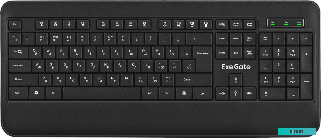 Клавиатура ExeGate Professional Standard LY-E5500M EX296922RUS