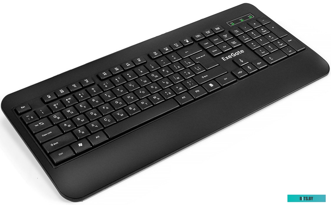 Клавиатура ExeGate Professional Standard LY-E5500M EX296922RUS