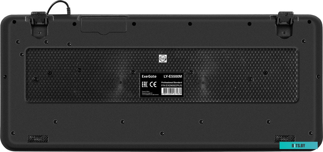 Клавиатура ExeGate Professional Standard LY-E5500M EX296922RUS