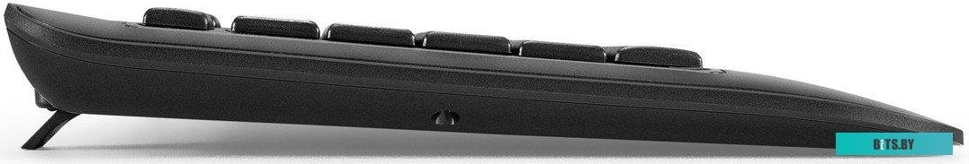 Клавиатура ExeGate Professional Standard LY-E5500M EX296922RUS