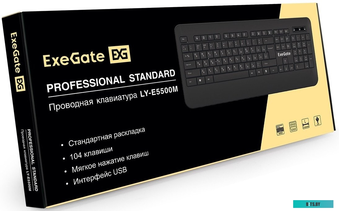 Клавиатура ExeGate Professional Standard LY-E5500M EX296922RUS