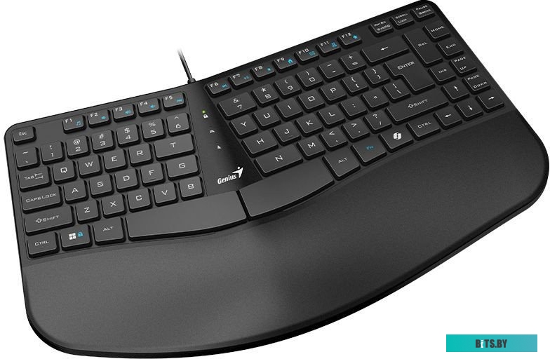 Клавиатура Genius Ergo KB-700 31310053402.