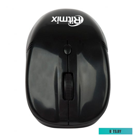 Мышь Ritmix RMW-111