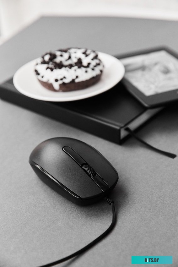 Мышь Canyon CNE-CMS10B