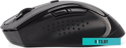 Мышь A4Tech G10-810FS