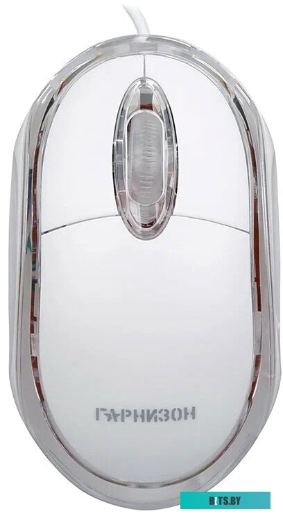 Гарнизон GM-100W