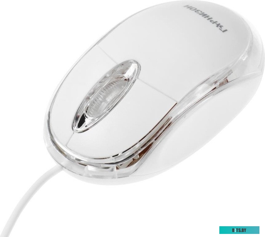 Гарнизон GM-100W