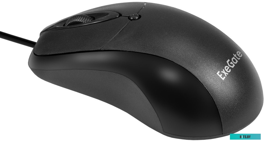 Мышь ExeGate Professional Standard B100L EX298196RUS