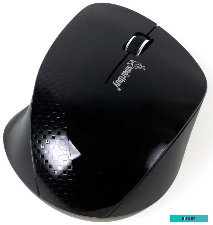 Мышь SmartBuy 309AG Black (SBM-309AG-K)