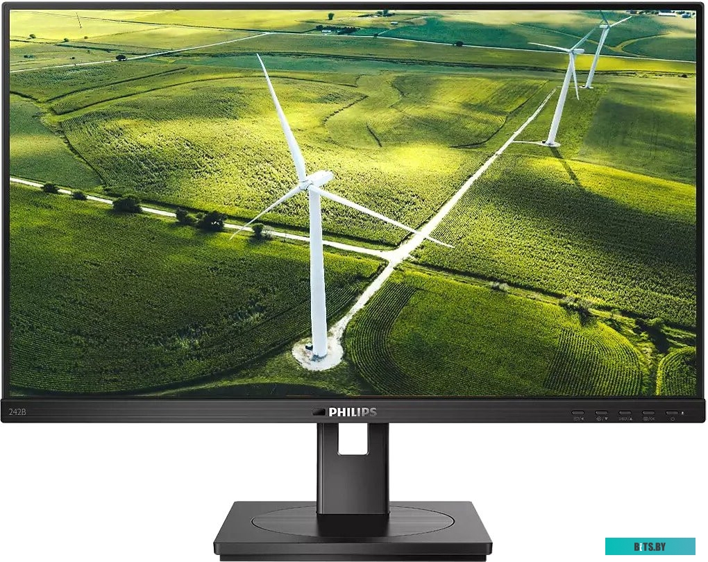 Монитор Philips 242B1G/00