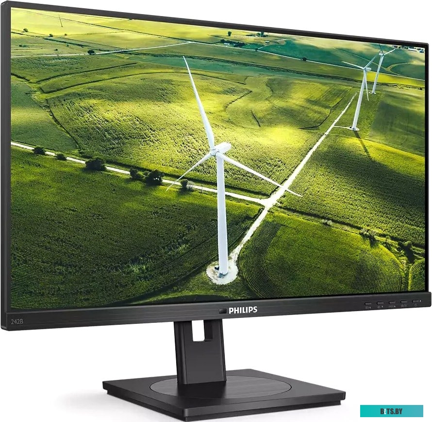 Монитор Philips 242B1G/00