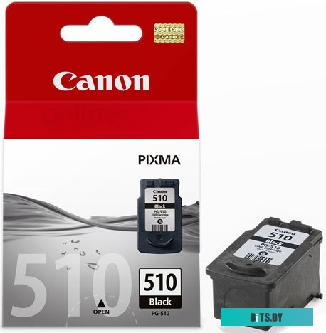 Картридж Canon PG-510 Black (9ml/0,2k) 2970B001