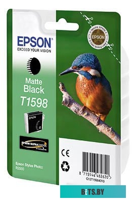 Картридж Epson C13T15984010 (SP-R2000 Matte Black)