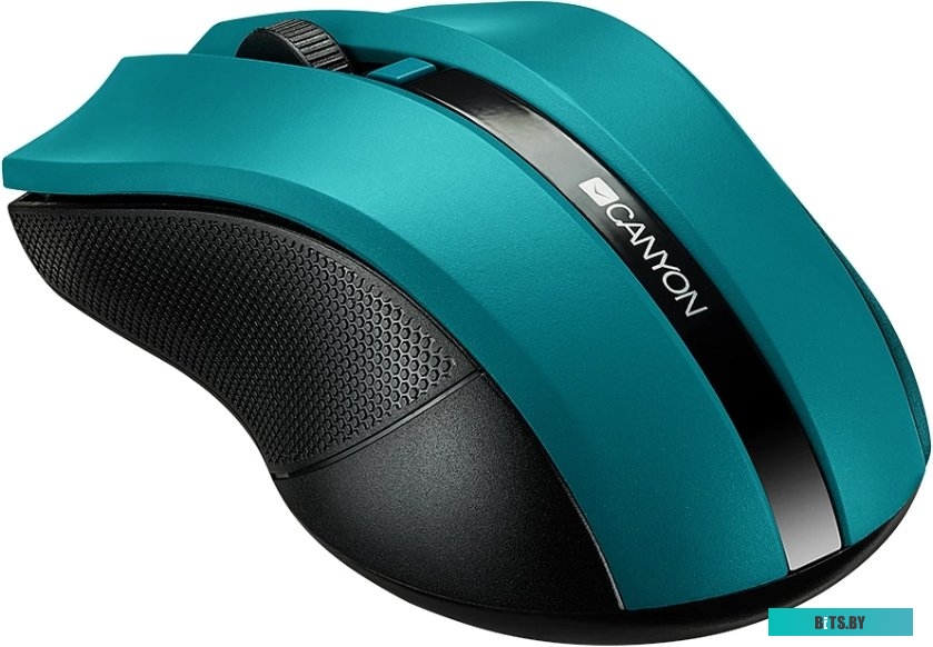 Мышь Canyon CNE-CMSW05G