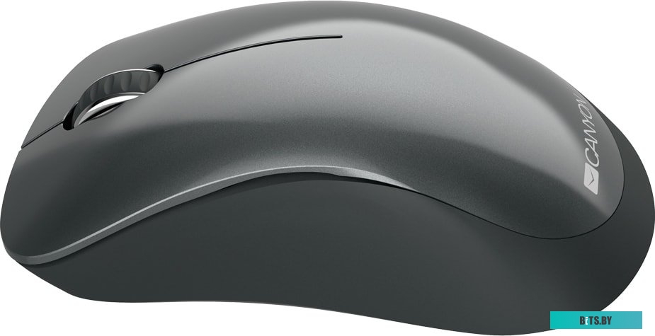 Мышь Canyon CNE-CMSW11B