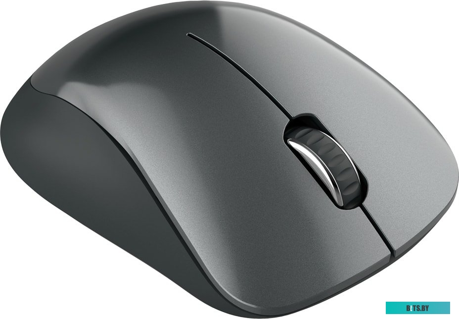 Мышь Canyon CNE-CMSW11B