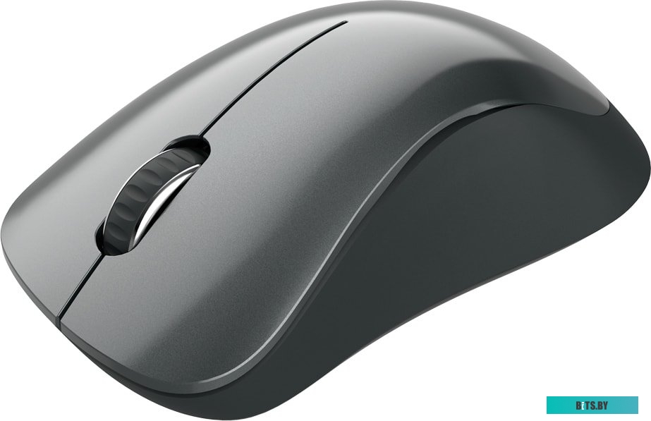 Мышь Canyon CNE-CMSW11B