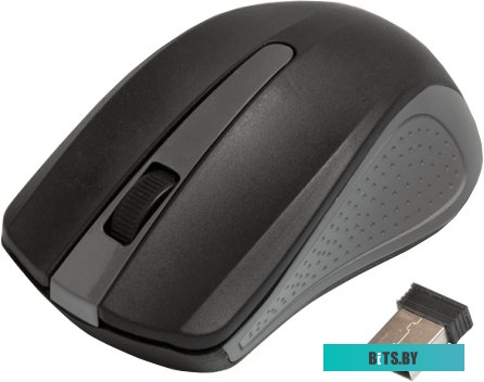 Мышь Ritmix RMW-555 (черный/серый) <RMW-555 Black/Grey>
