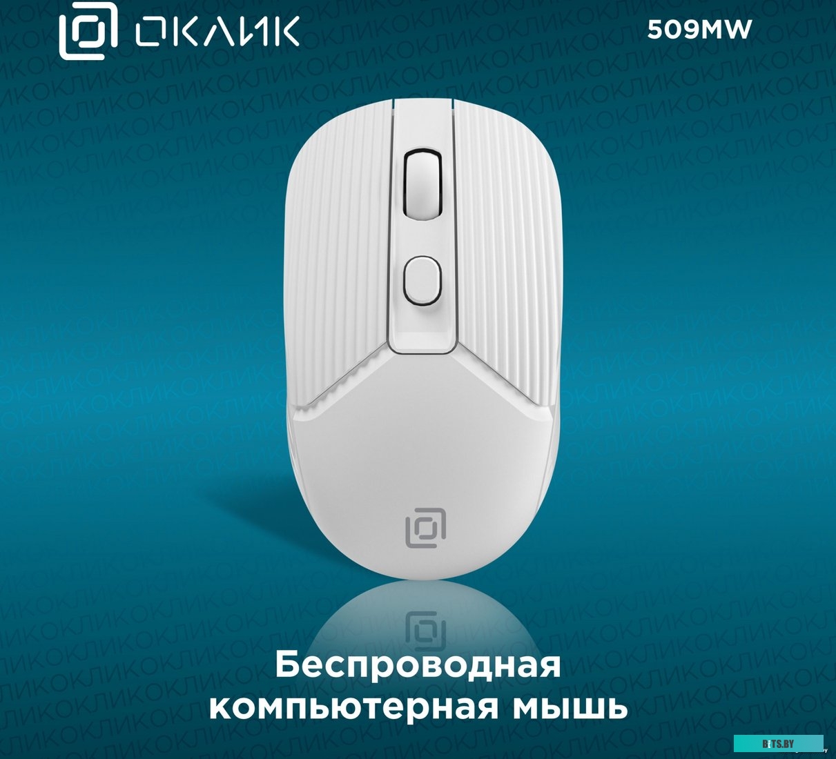 Мышь Оклик 509MW (белый)