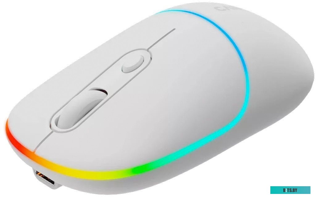 Мышь Canyon MW-22 CNS-CMSW22SW