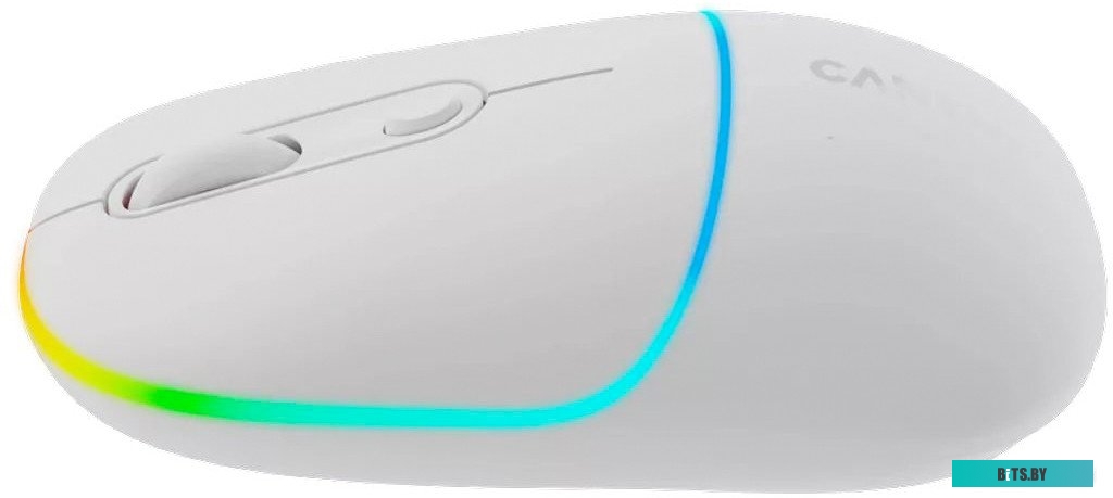 Мышь Canyon MW-22 CNS-CMSW22SW