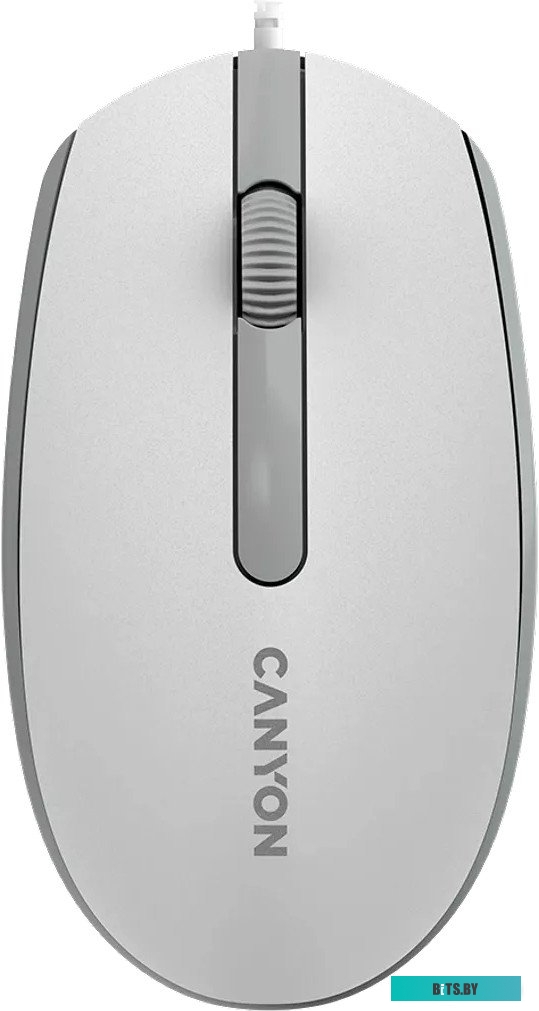 Компьютерная мышь Canyon M-10 (белый/серый)