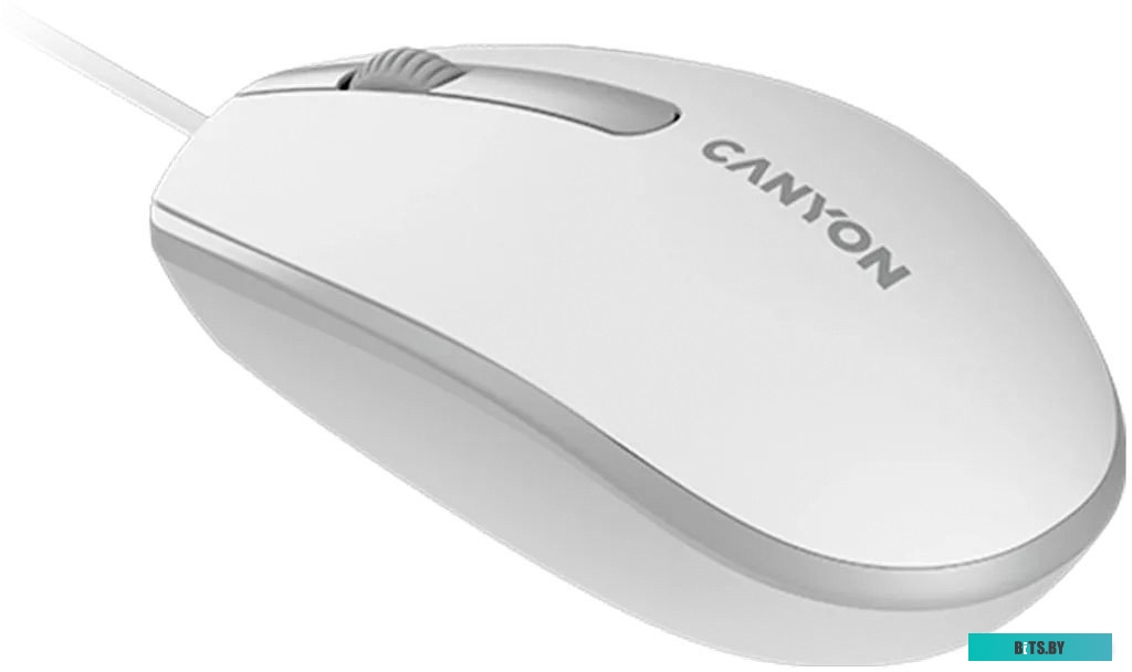Компьютерная мышь Canyon M-10 (белый/серый)
