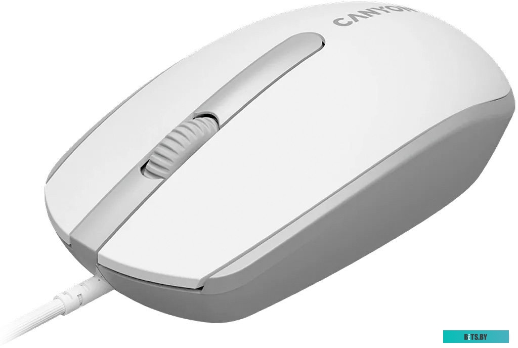 Компьютерная мышь Canyon M-10 (белый/серый)