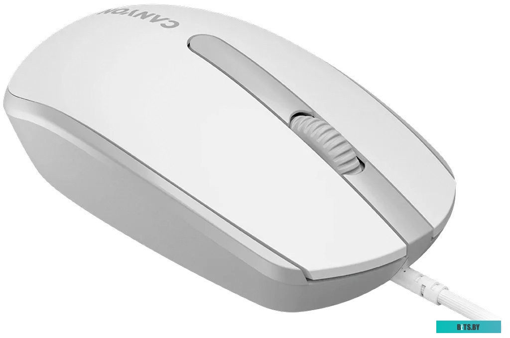 Компьютерная мышь Canyon M-10 (белый/серый)