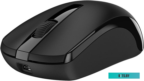 Мышь Genius DX-150X 31010004405