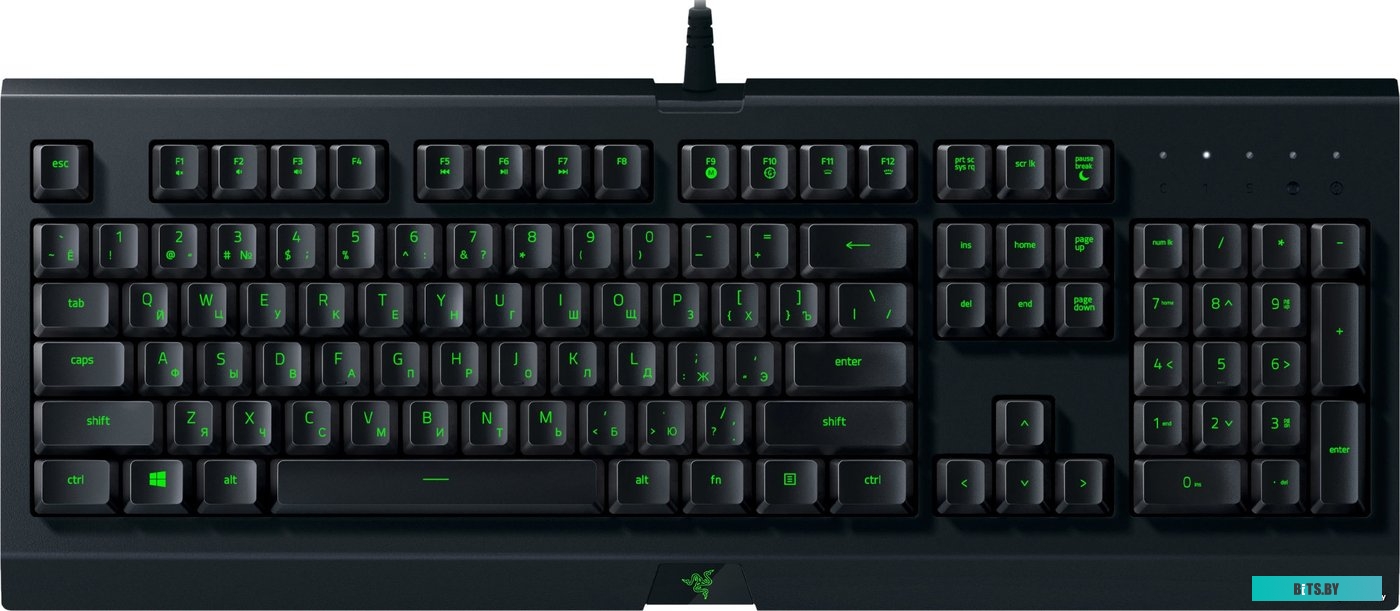 Кейпад Razer Cynosa Lite <RZ03-02741500-R3R1>