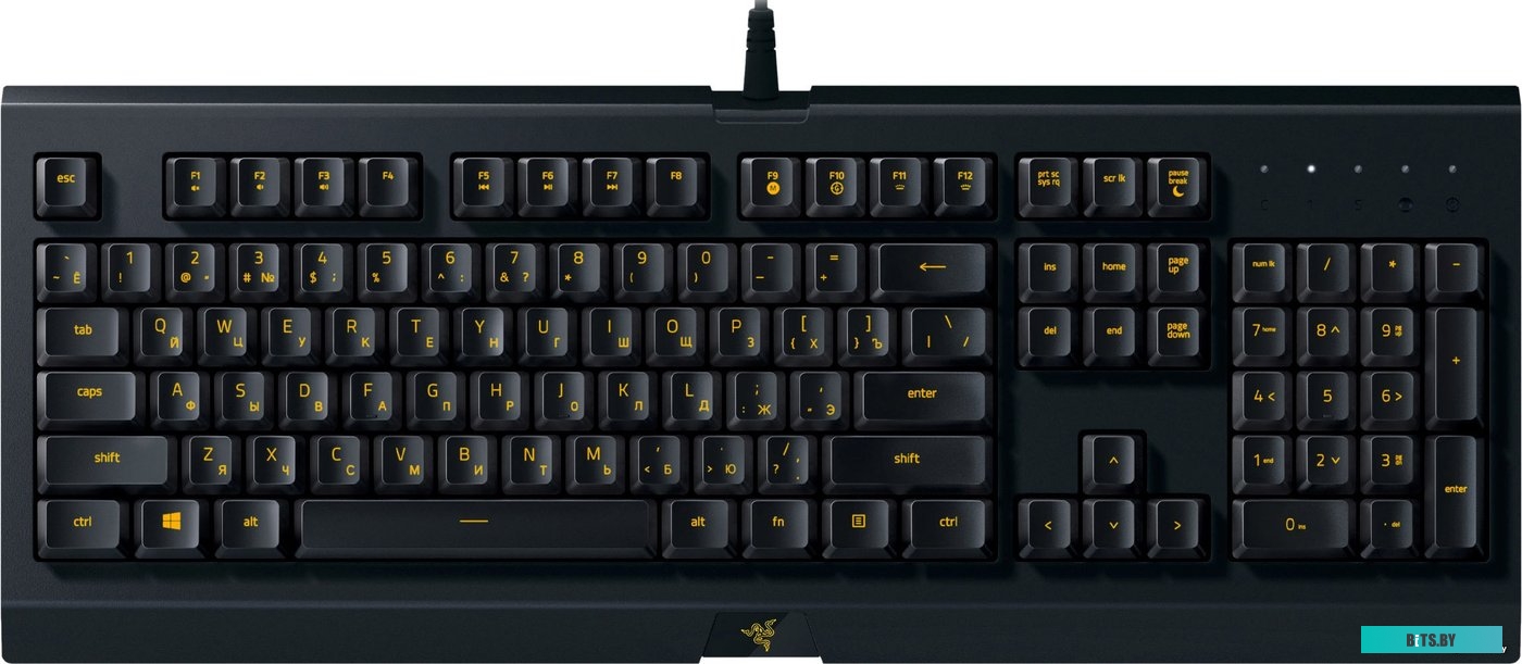 Кейпад Razer Cynosa Lite <RZ03-02741500-R3R1>