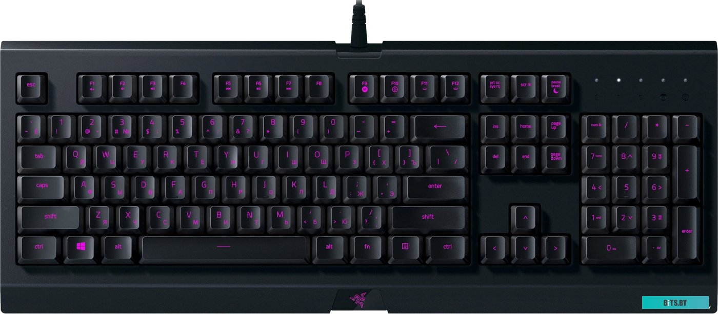 Кейпад Razer Cynosa Lite <RZ03-02741500-R3R1>