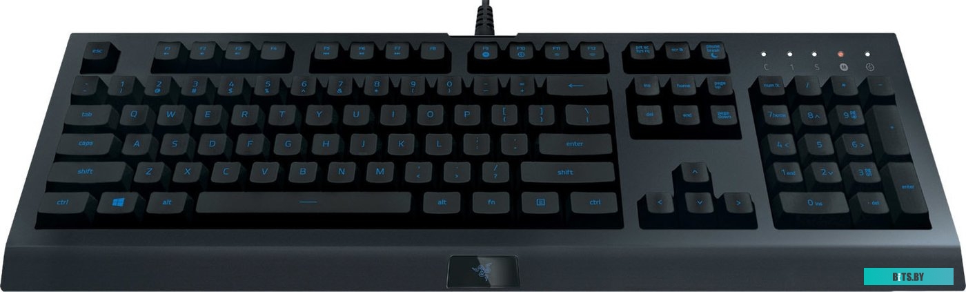 Кейпад Razer Cynosa Lite <RZ03-02741500-R3R1>