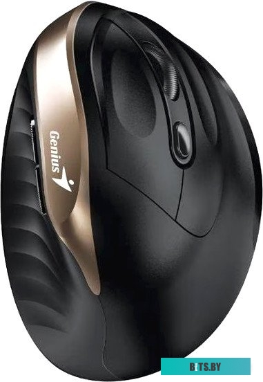 Genius Ergo 8250S (черный/золотистый)
