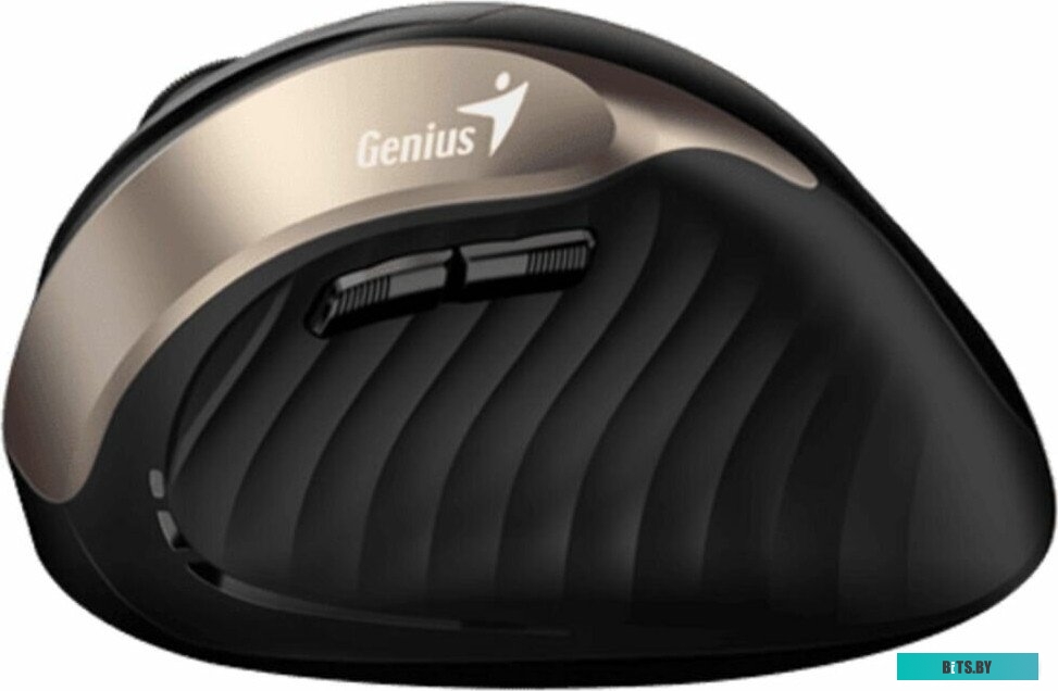 Genius Ergo 8250S (черный/золотистый)