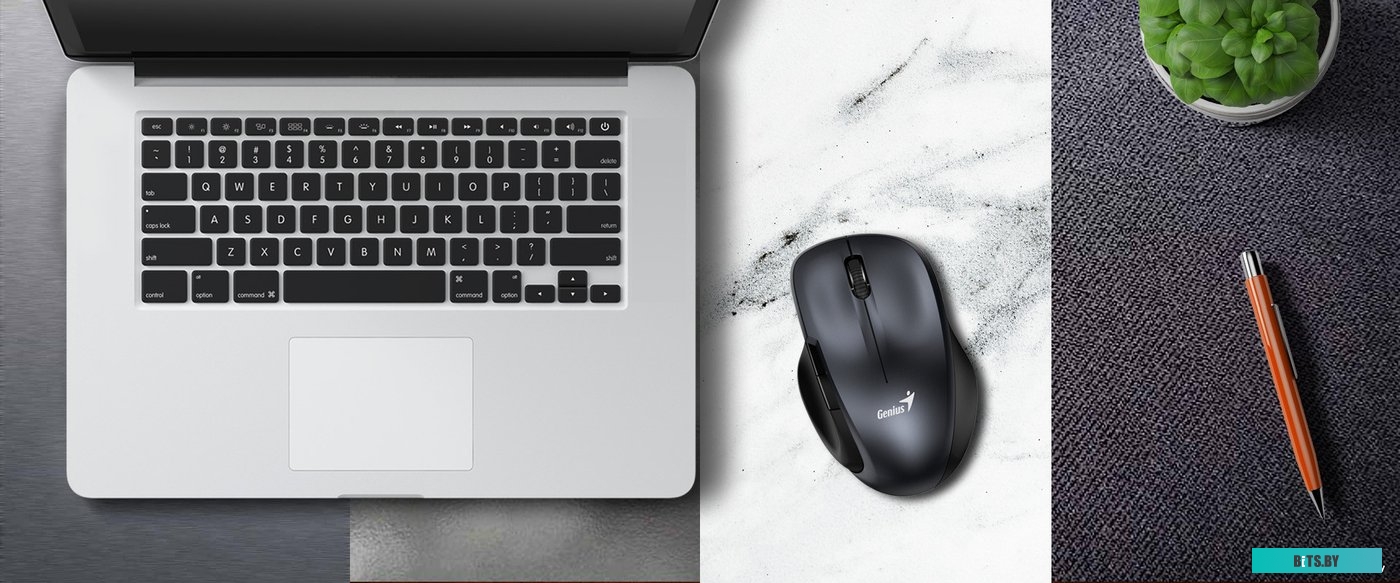 Мышь Genius Ergo 8200S (серый)