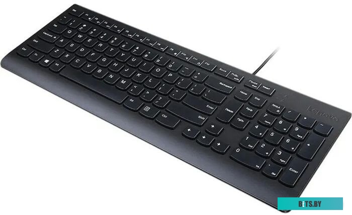 Клавиатура Lenovo Essential Wired Keyboard 4Y41C68671
