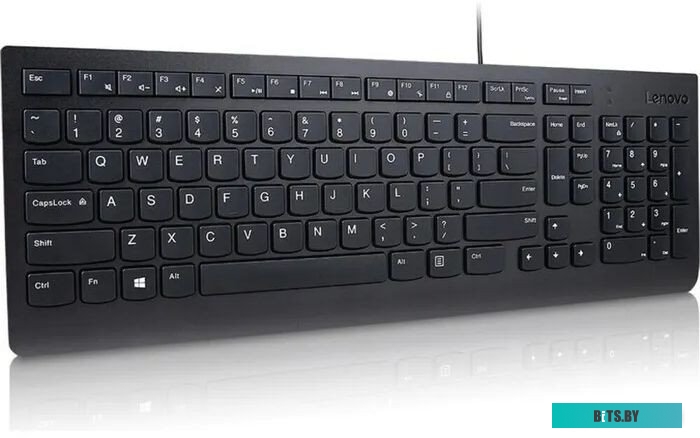 Клавиатура Lenovo Essential Wired Keyboard 4Y41C68671