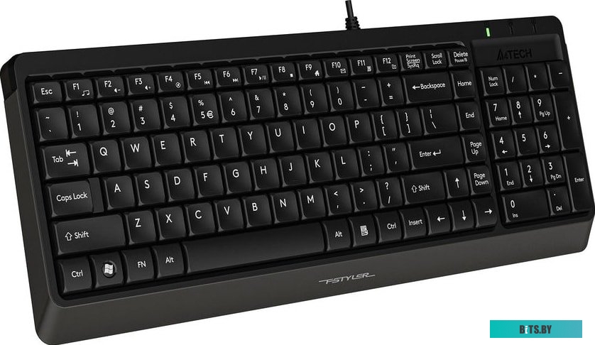 Клавиатура A4Tech Fstyler FK15 (черный)