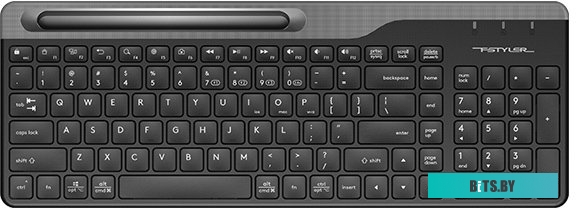 Клавиатура A4Tech Fstyler FBK25 (черный/серый)