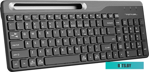 Клавиатура A4Tech Fstyler FBK25 (черный/серый)