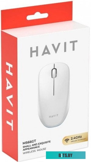 Havit HV-MS66GT (белый/голубой)