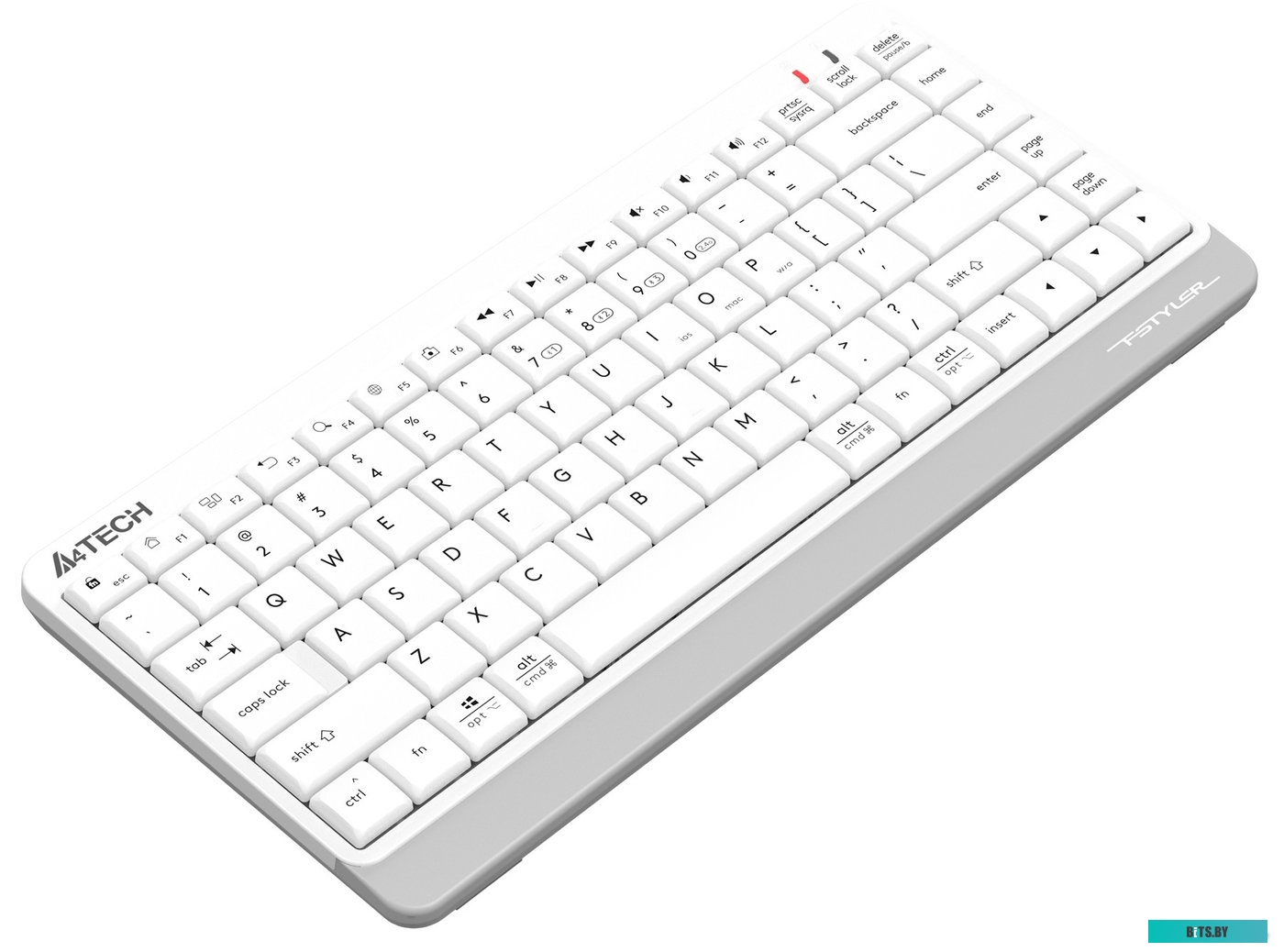 Клавиатура A4Tech Fstyler FBK11 (белый)