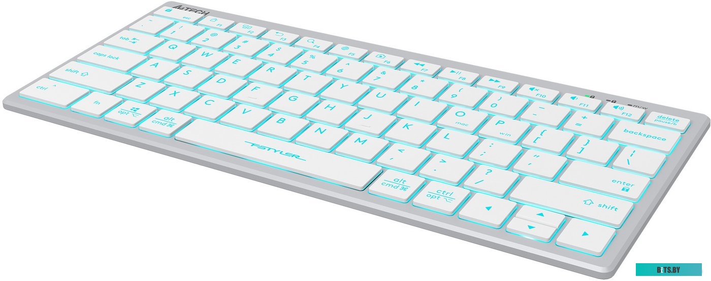 Клавиатура A4Tech Fstyler FX61 (серебристый/белый)