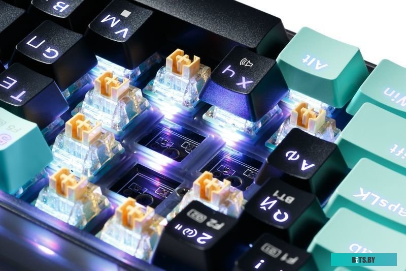 Игровая клавиатура Redragon Castor Pro 71533.