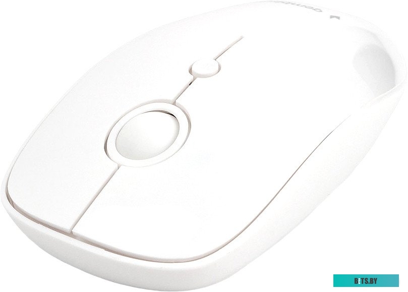 Мышь беспроводная Gembird MUSW-385, белый MUSW-385