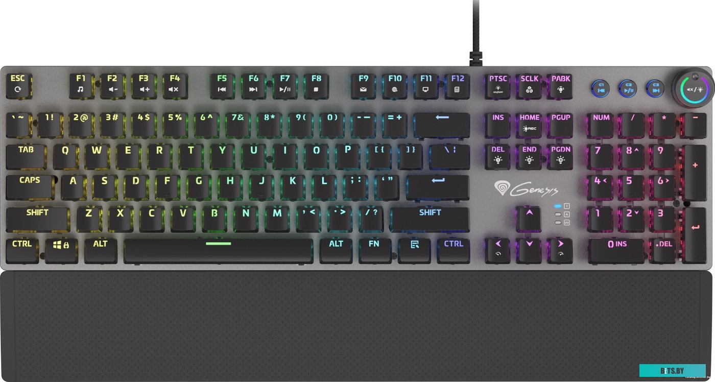 Клавиатура Genesis Thor 400 RGB